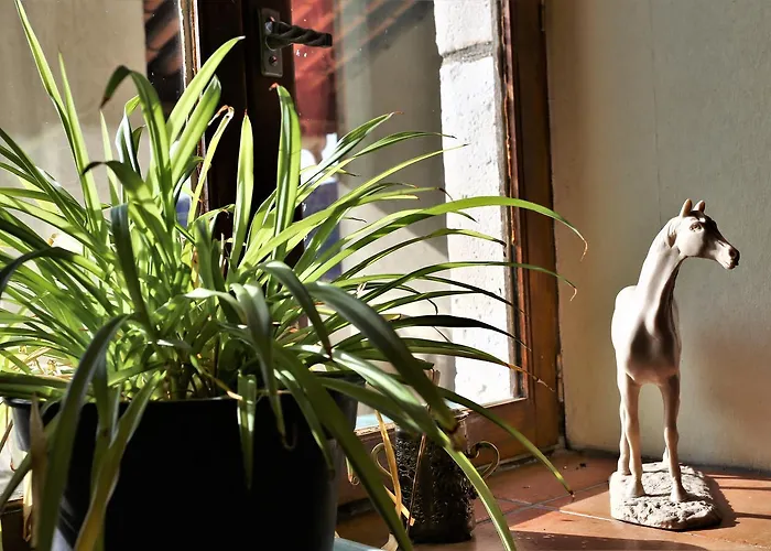 ホテル Logis Hotel-restaurant La Mere Biquette