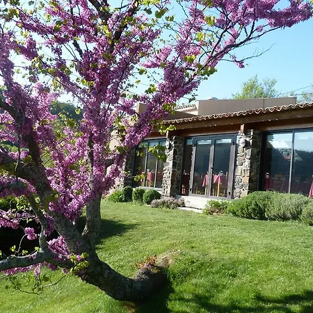 Logis Hotel-restaurant La Mere Biquette ホテル 3*